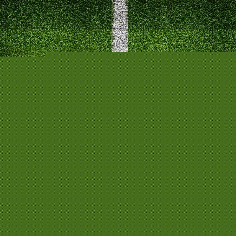 他曾多次面 他曾多次面