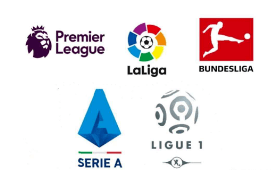 这不仅显示 这不仅显示