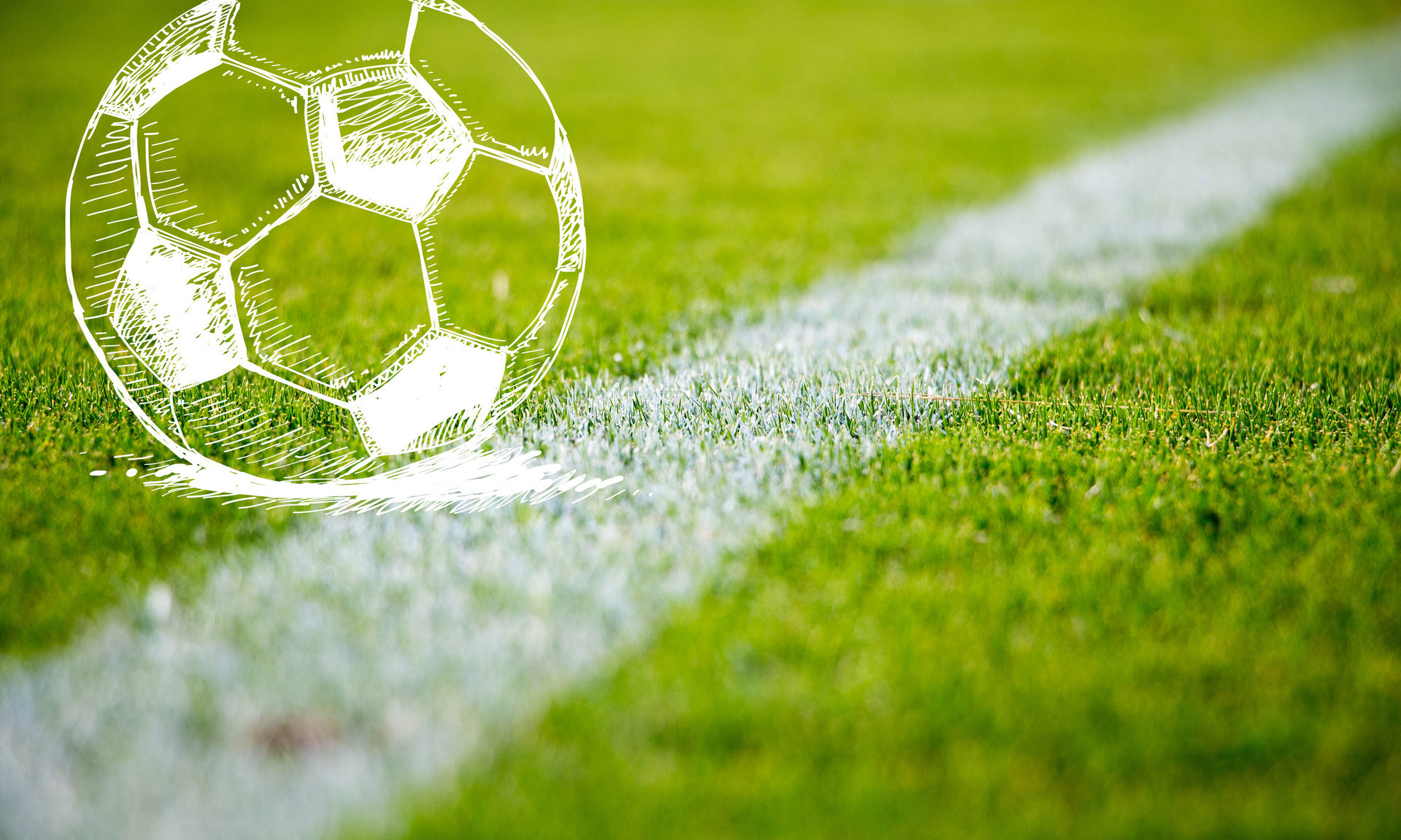 他的高效得 他的高效得