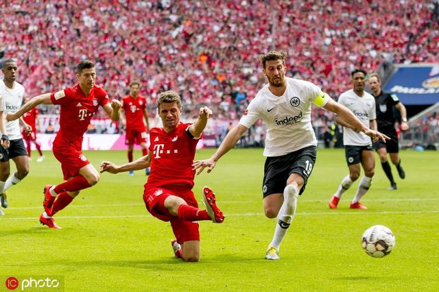 迷和球队管 迷和球队管